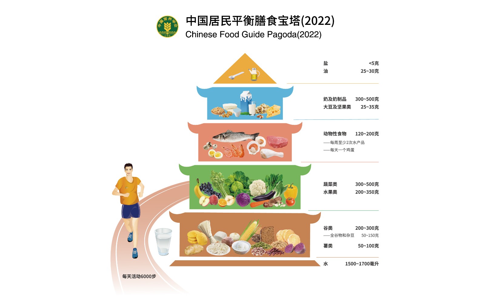 中国居民平衡膳食宝塔、餐盘、算盘图形