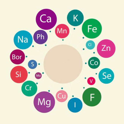 人体所需的微量元素有哪些？缺乏微量元素的危害有哪些？