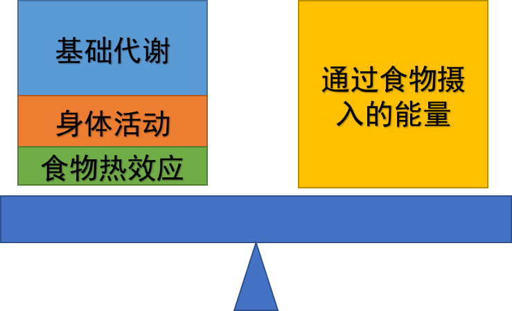 优质蛋白在控制体重中的作用