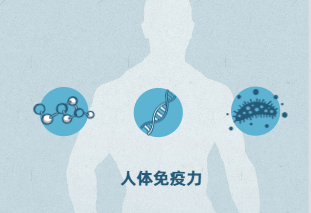 人体的免疫力是怎么回事？